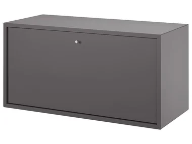 LIVARNO Living® Combineer module plank met deur antraciet