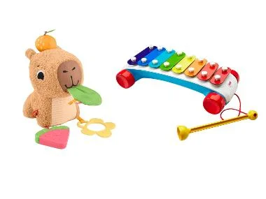 Fisher-Price Xylofoon of knuffel capibara