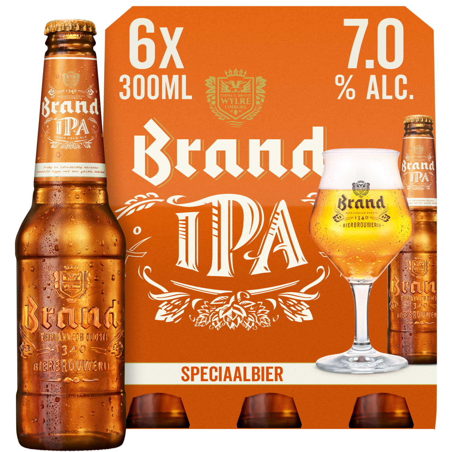 Brand IPA 6-pack