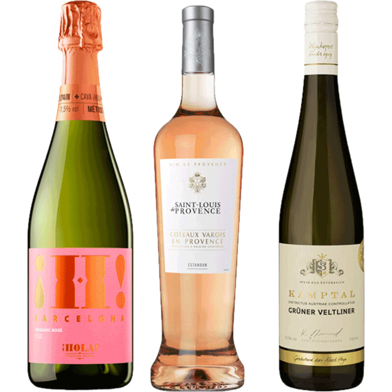  Wijnen voor een (tuin)feest!