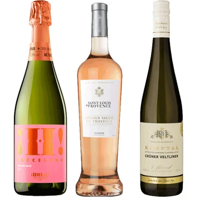  Wijnen voor een (tuin)feest!