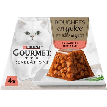 Gourmet Revelations stukjes in gelei met zalm