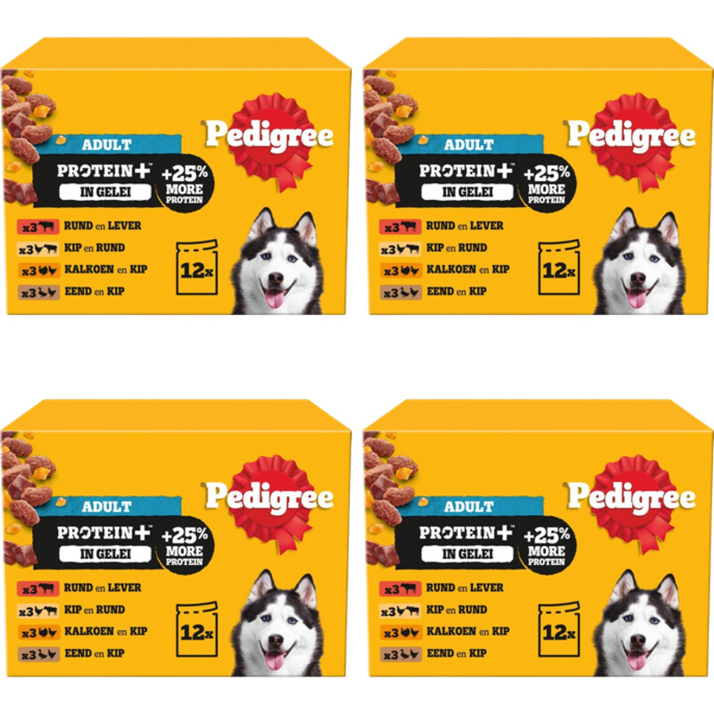 Pedigree Adult protein+ selectie in gelei 4-pack