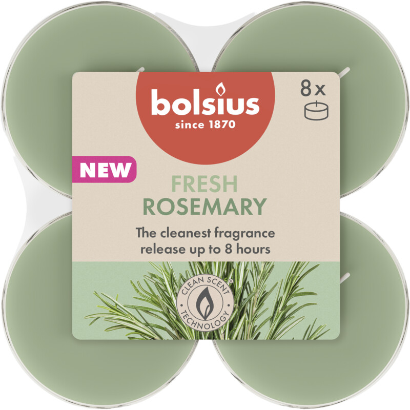 Bolsius Maxilichten 8u true scents rozemarijn