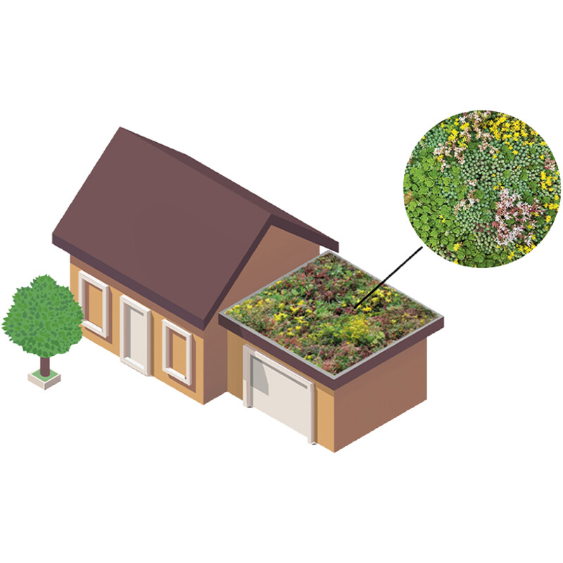 de Dakvergroeners Groendak lichtgewichtsysteem 6m2