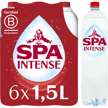 SPA REINE Natuurlijk Mineraalwater 6 x 1,5L