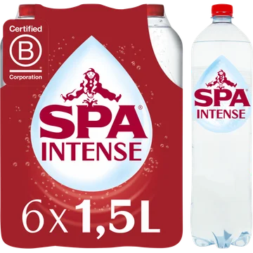 SPA REINE Natuurlijk Mineraalwater 6 x 1,5L