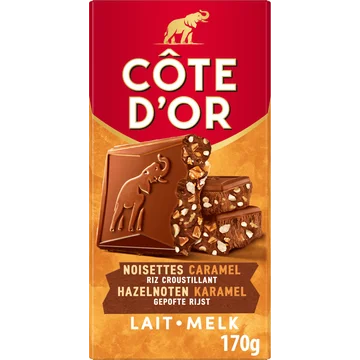 Cote D'or Melk Hazelnoot Chocolade Reep 170g