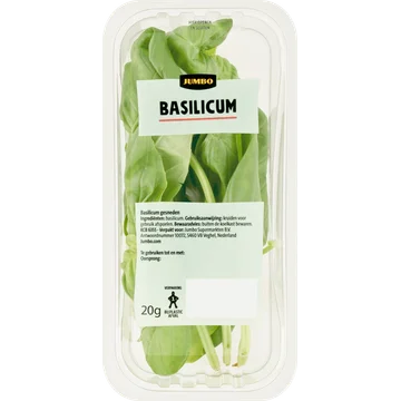 Jumbo Basilicum 20 g