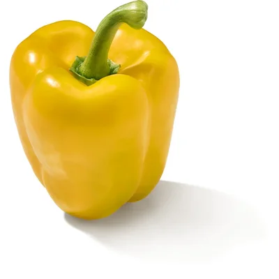 AH Paprika geel
