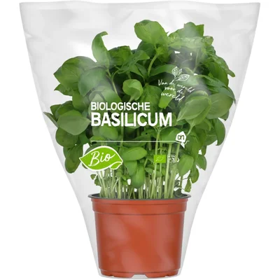 AH Biologisch Basilicum pot