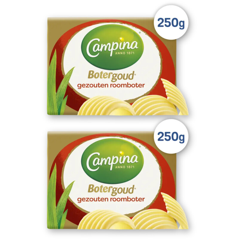Campina Botergoud gezouten roomboter 2-pack