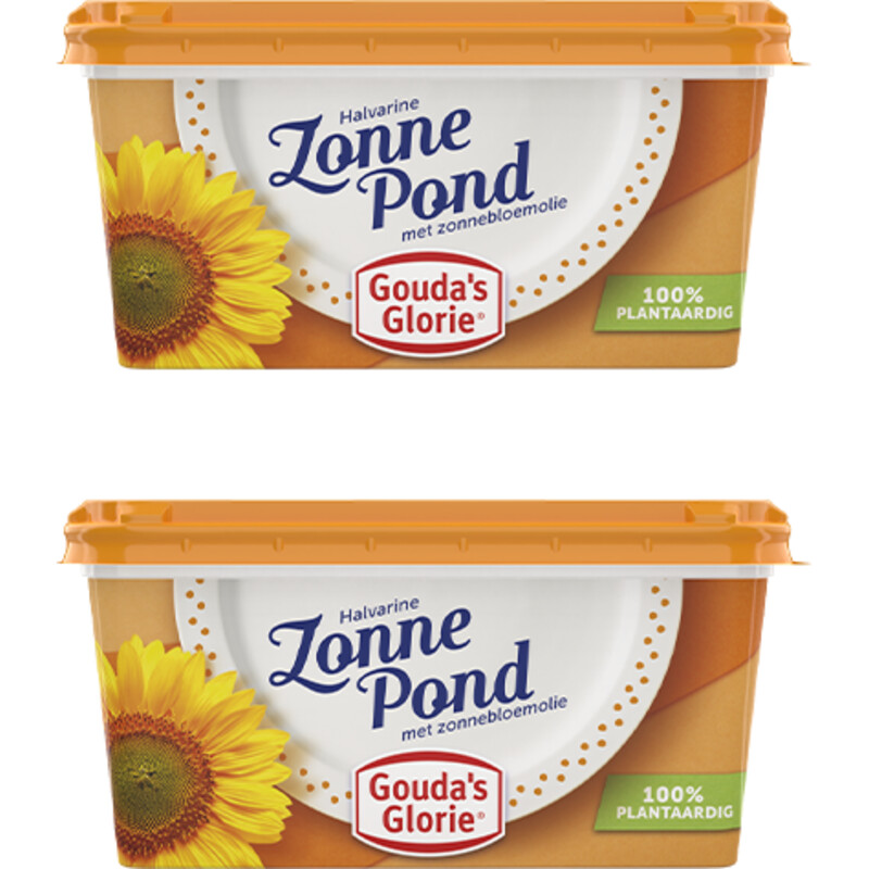 Gouda's Glorie Zonnepond 2-pack