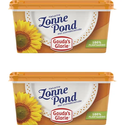Gouda's Glorie Zonnepond 2-pack