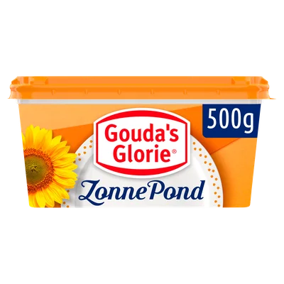 Gouda's Glorie Zonnepond