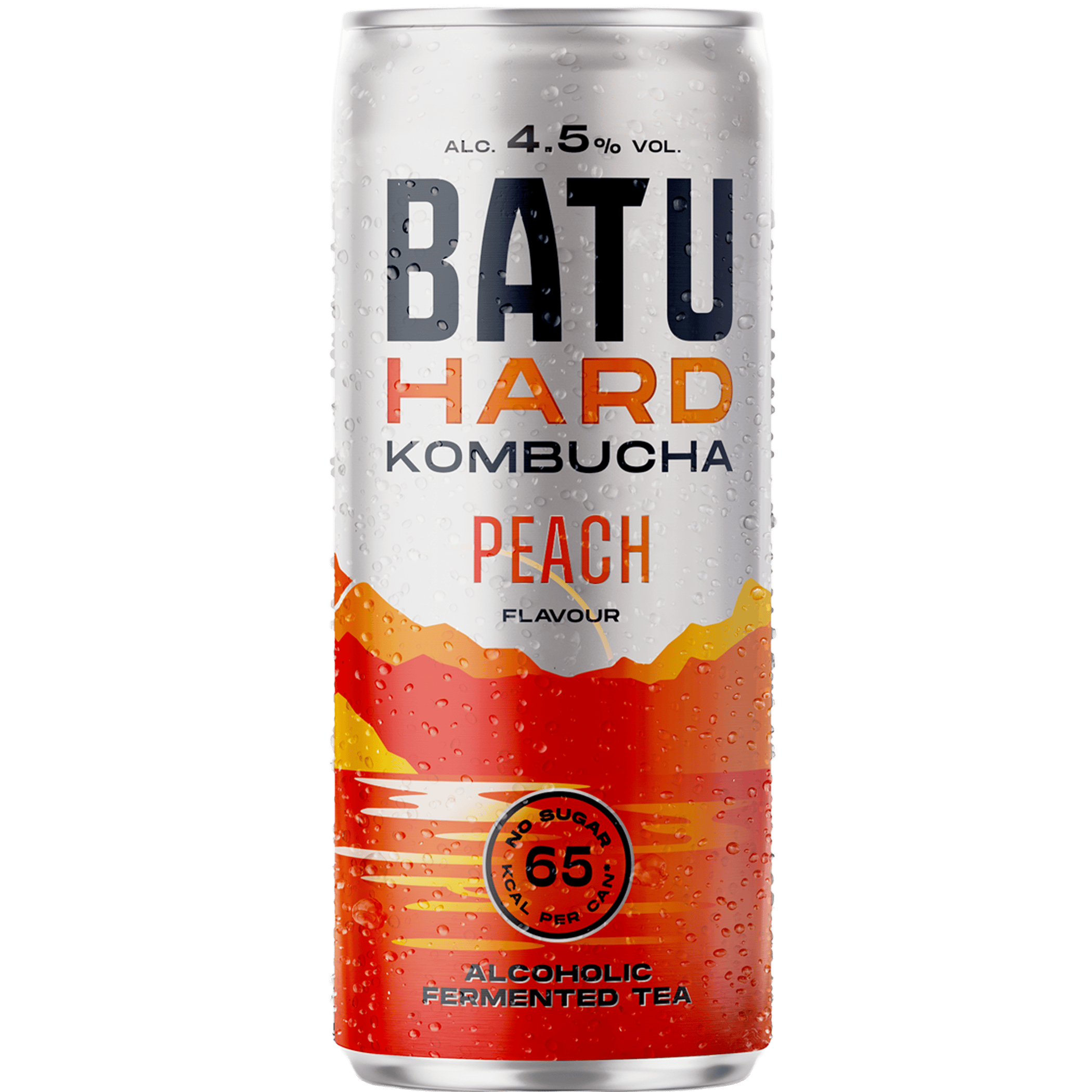 Batu Kombucha forest fruits