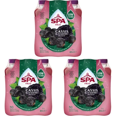 Spa Fruit cassis blackberry bruisend 18-pack