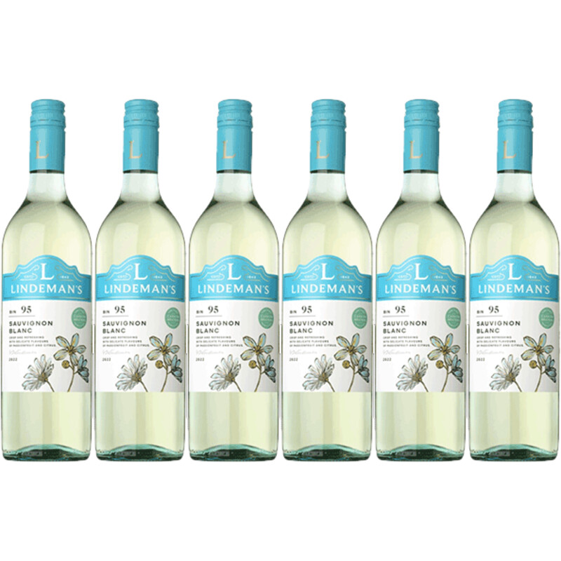 Lindeman's Bin 95 sauvignon blanc 6 flessen