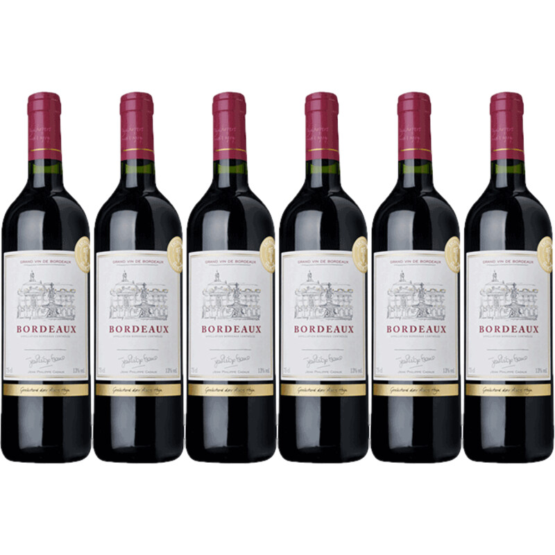 AH Excellent Selectie bordeaux 6 flessen