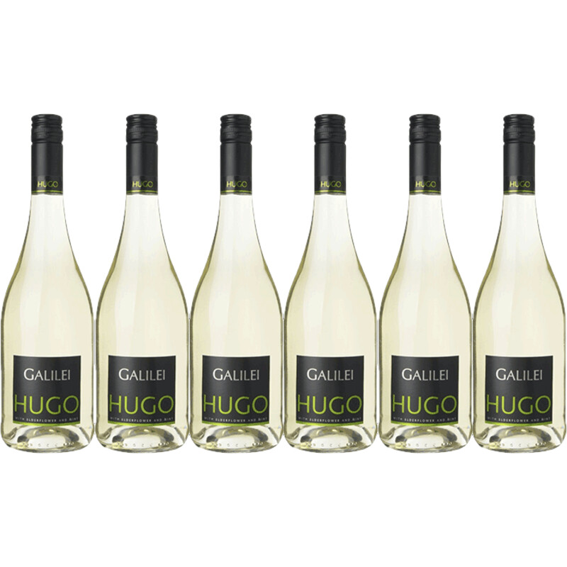 Galilei Hugo 6 flessen