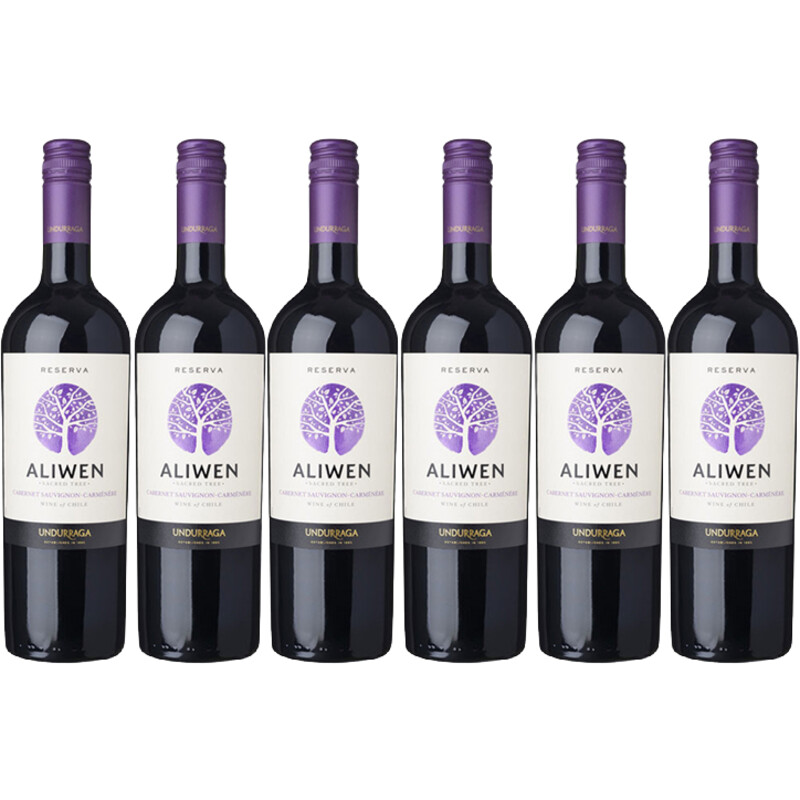 Aliwen Cabernet sauvignon carménère 6 flessen