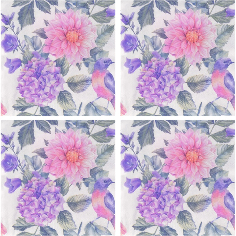 AH Servet dahlia 4-pack