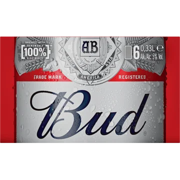 Bud blik 6 x 33cl