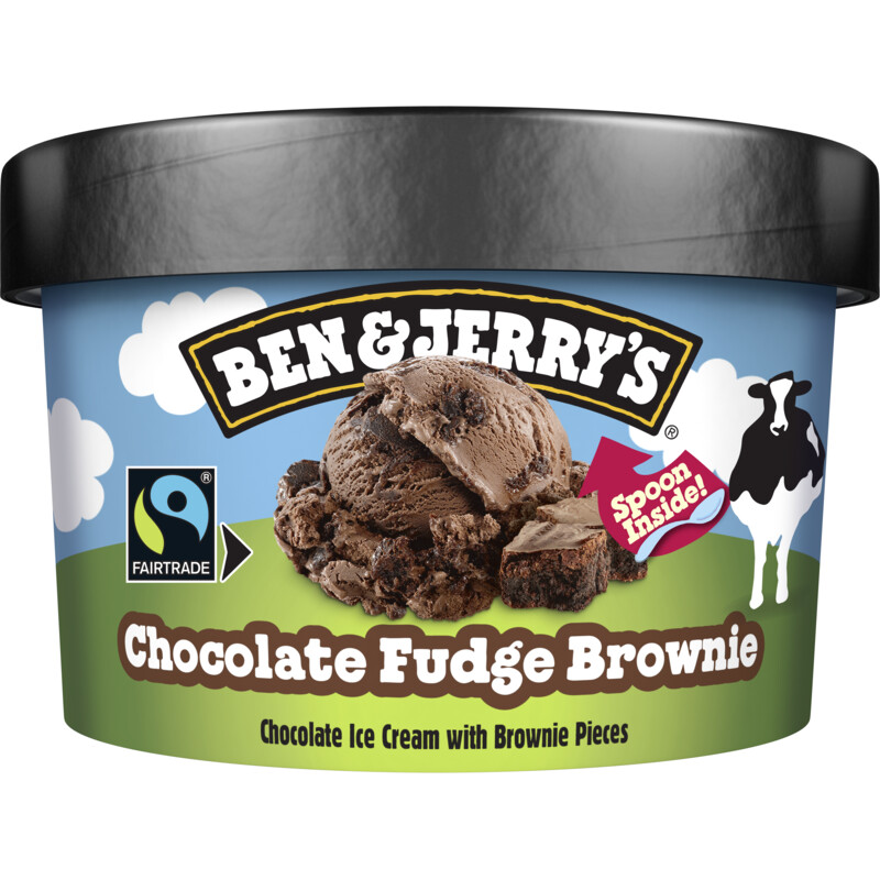Ben & Jerry's Chocolate fudge brownie