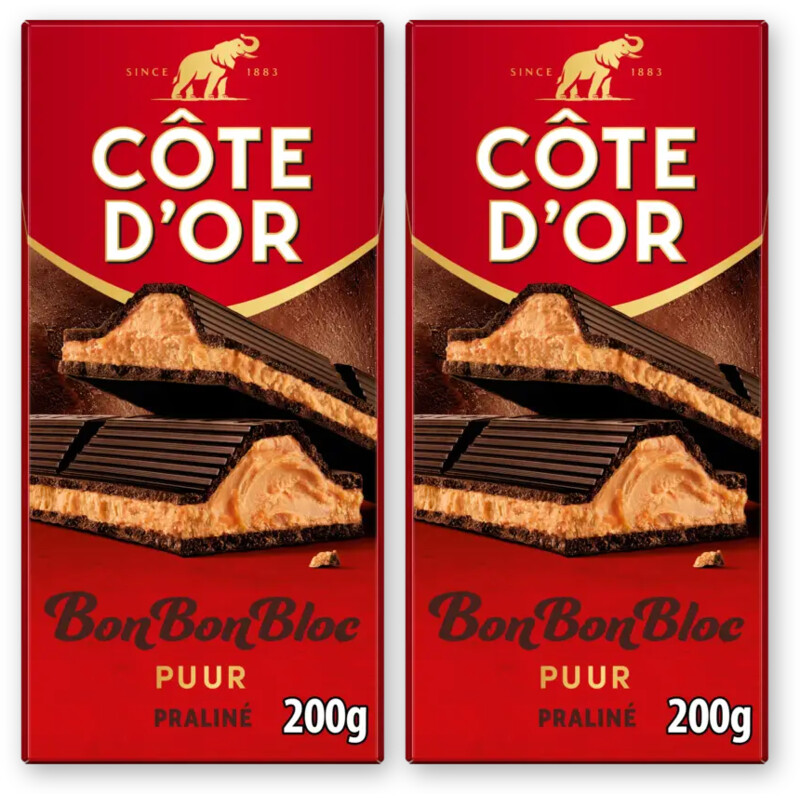 Côte d'Or BonBonBloc praliné puur 2-pack