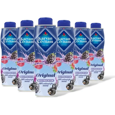 Karvan Cévitam Original bosvruchten siroop 6-pack