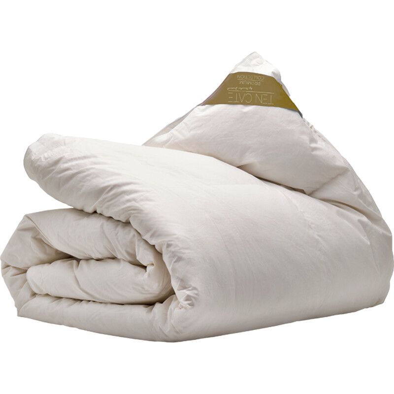Ten Cate Dekbed 4-seizoenen dons 100 200x220