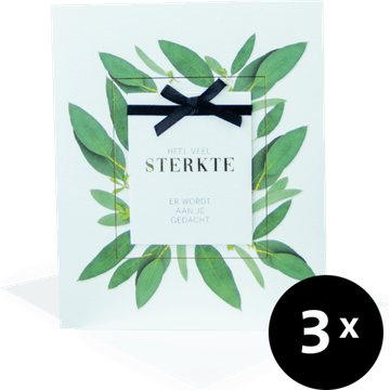 Paperclip Cards Wenskaarten Sterkte 3 Stuks
