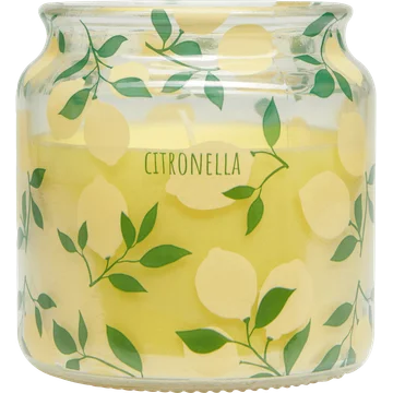 HEMA Kaarsvaasje Citronella L