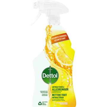 Dettol Spray Citrus 750 ML
