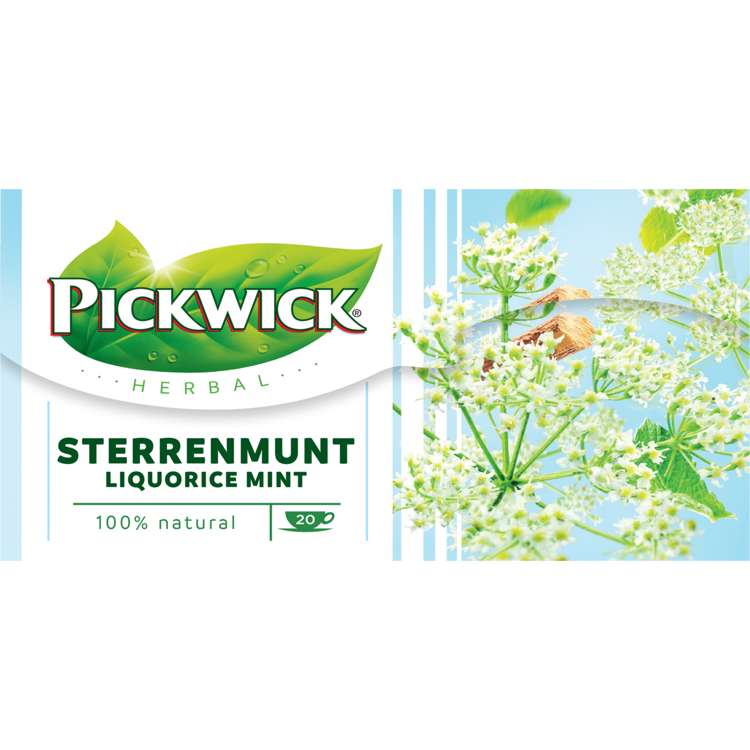 Pickwick Sterrenmunt Kruiden Thee 20 Stuks