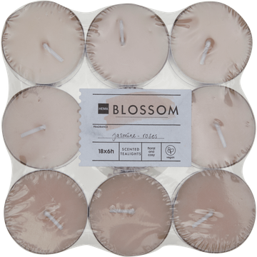 HEMA Sfeerlichten Blossom 18 Stuks