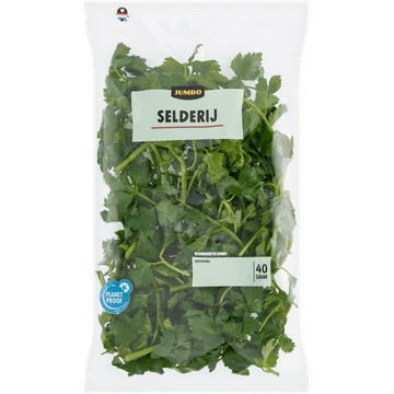 Jumbo Bleekselderij