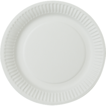 HEMA 20 stuks papier bord 18 cm