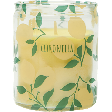 HEMA Kaarsvaasje Citronella