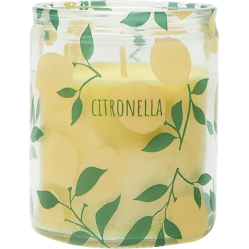 HEMA Kaarsvaasje Citronella