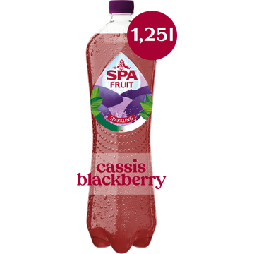 Spa FRUIT Bruisende Fruitige Frisdrank Cassis Blackberry 1,25 l