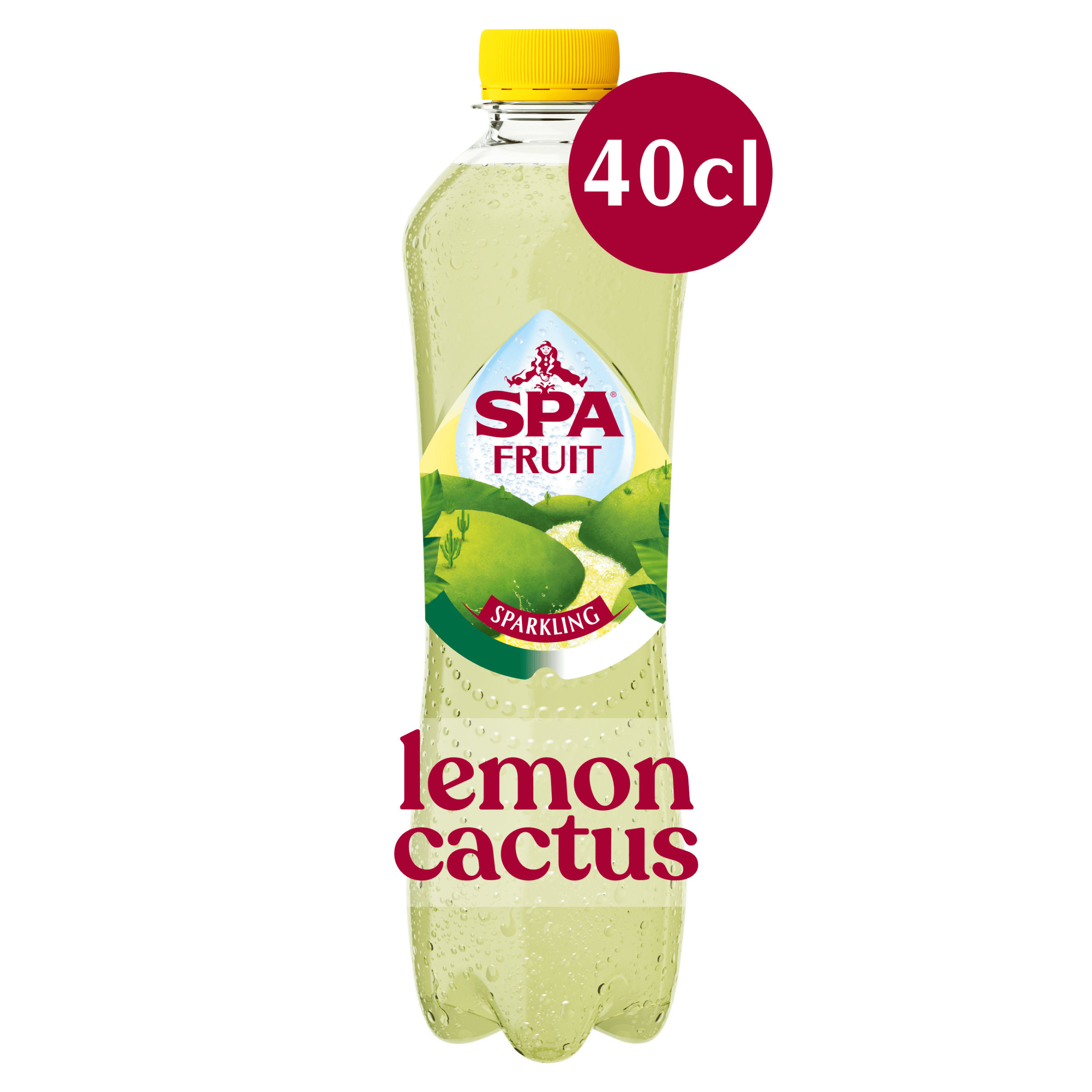 SPA FRUIT Bruisende Fruitige Frisdrank Lemon Cactus 40 cl