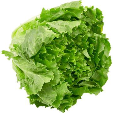 Jumbo Ananas Vers 1 Stuk