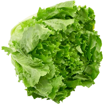 Jumbo Ananas Vers 1 Stuk