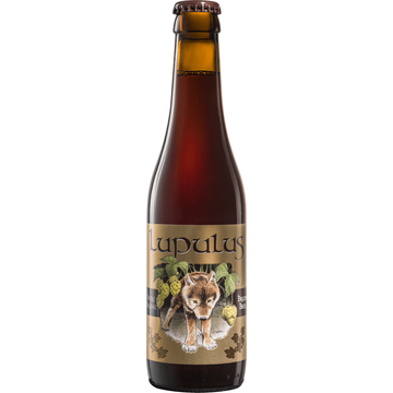 Lupulus - Bruin Bier - Fles - 330 ML