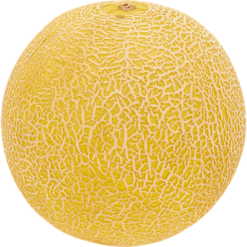 Jumbo Meloenmix Watermeloen Cantaloupe Meloen Galiameloen 175 g