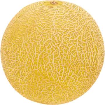 Jumbo Meloenmix Watermeloen Cantaloupe Meloen Galiameloen 175 g