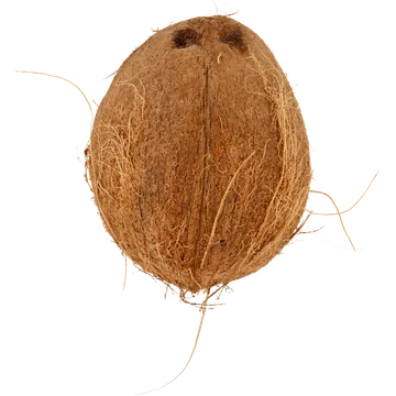 Jumbo Biologische Kokosnoot