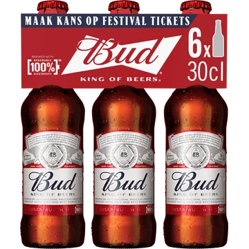 Bud Bier Flessen 6 x 300ML