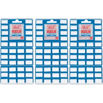 Smart Gum Spearmint met Xylitol 3 x 36 Stuks